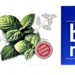 Wybielająca pasta do zębów dla palaczy Bio Madent 100 ml – zdjęcie 3