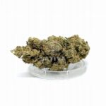 Susz konopny CBD Kwiaty Konopi Sativa "SUPER SILVER HAZE" 3 g – zdjęcie 2